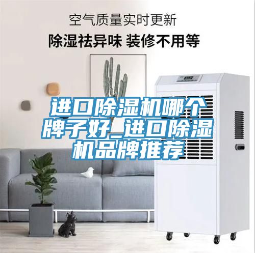 进口猫咪成人官网哪个牌子好_进口猫咪成人官网品牌推荐