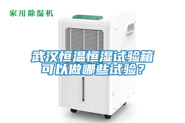 武汉恒温恒湿试验箱可以做哪些试验？