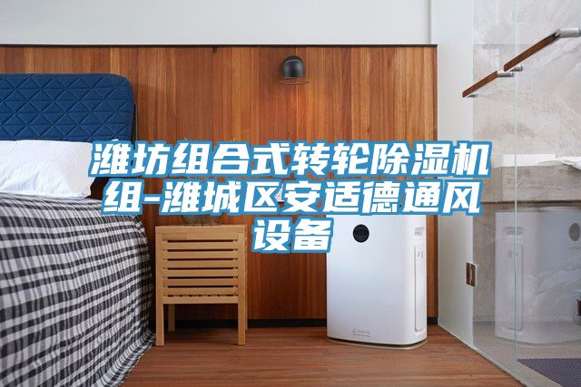 潍坊组合式转轮猫咪成人官网组-潍城区安适德通风设备