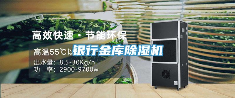 银行金库猫咪成人官网