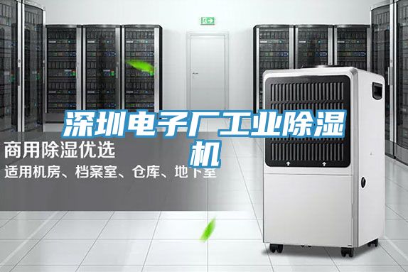 深圳电子厂工业猫咪成人官网