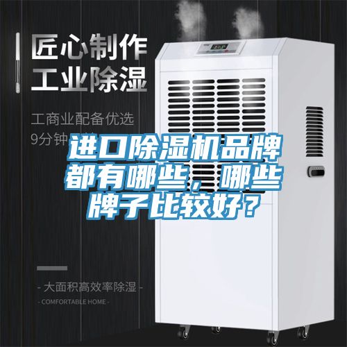 进口猫咪成人官网品牌都有哪些，哪些牌子比较好？