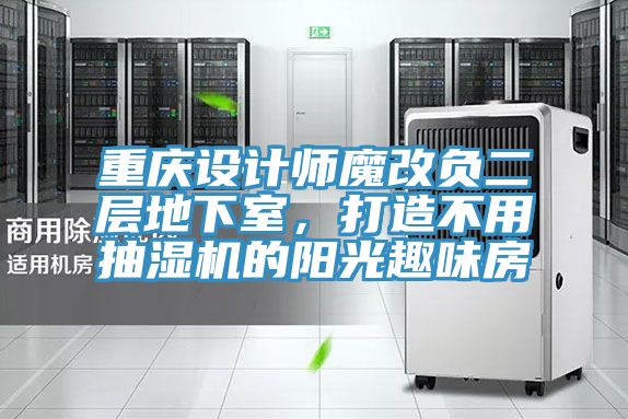 重庆设计师魔改负二层地下室，打造不用抽湿机的阳光趣味房