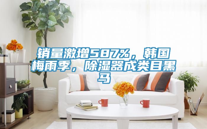 销量激增587%，韩国梅雨季，除湿器成类目黑马