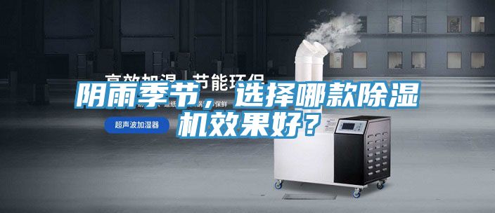 阴雨季节，选择哪款猫咪成人官网效果好？