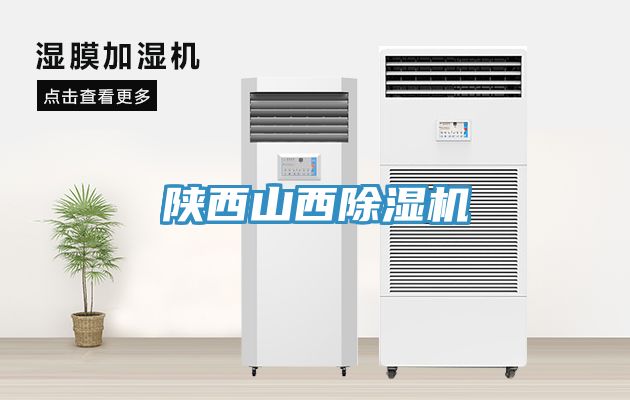 陕西山西猫咪成人官网