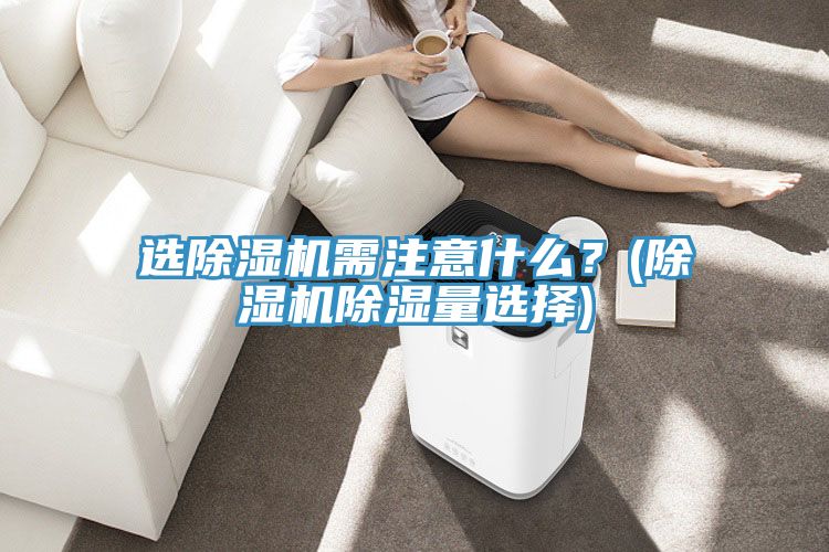选猫咪成人官网需注意什么？(猫咪成人官网除湿量选择)