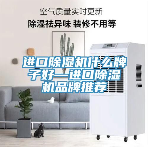 进口猫咪成人官网什么牌子好—进口猫咪成人官网品牌推荐
