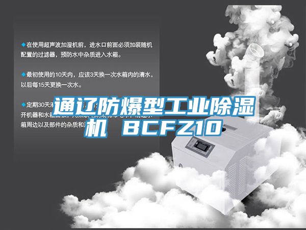 通辽防爆型工业猫咪成人官网 BCFZ10