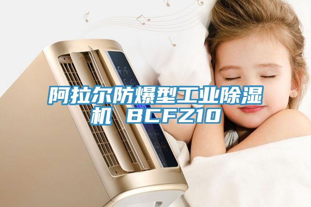 阿拉尔防爆型工业猫咪成人官网 BCFZ10