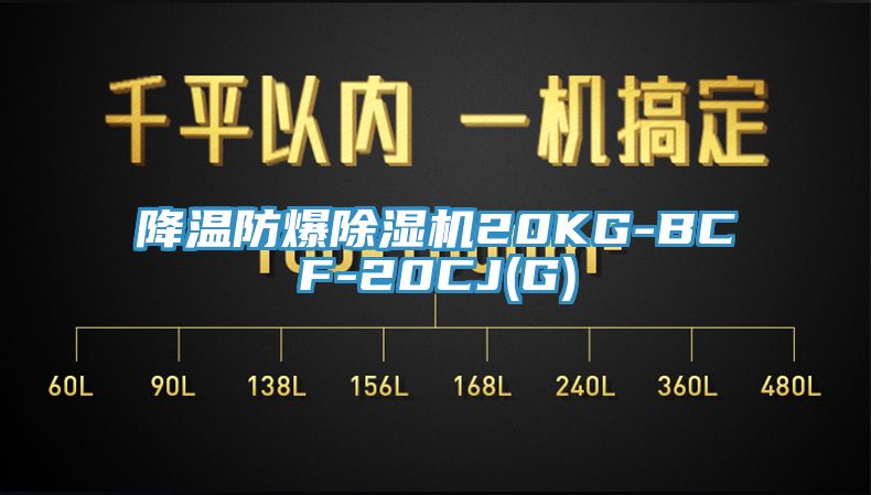 降温防爆猫咪成人官网20KG-BCF-20CJ(G)