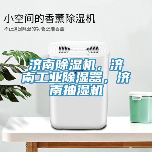 济南猫咪成人官网，济南工业除湿器，济南抽湿机