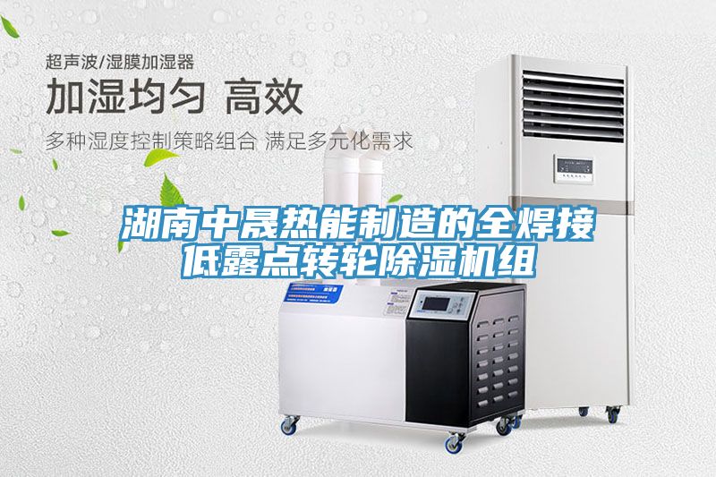 湖南中晟热能制造的全焊接低露点转轮猫咪成人官网组