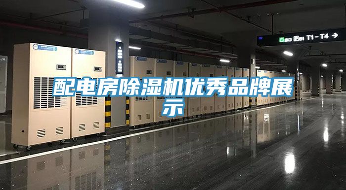 配电房猫咪成人官网优秀品牌展示