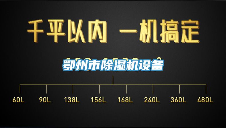 鄂州市猫咪成人官网设备
