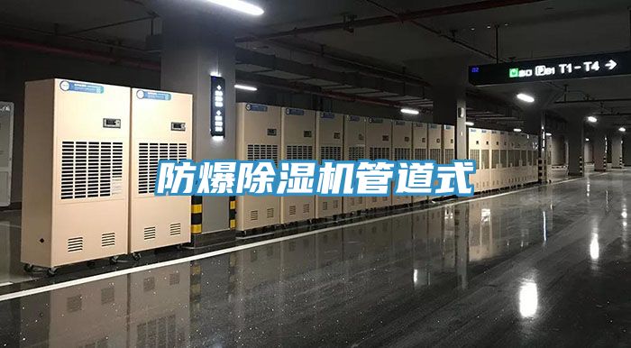 防爆猫咪成人官网管道式