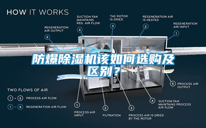 防爆猫咪成人官网该如何选购及区别？