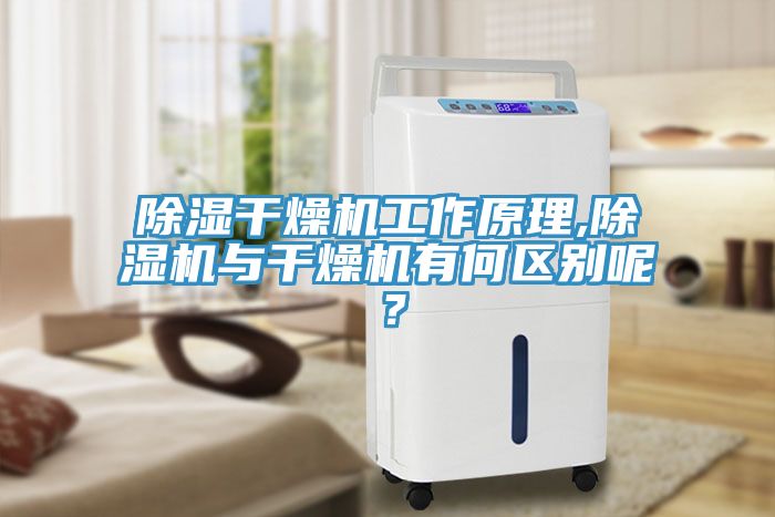 除湿干燥机工作原理,猫咪成人官网与干燥机有何区别呢？