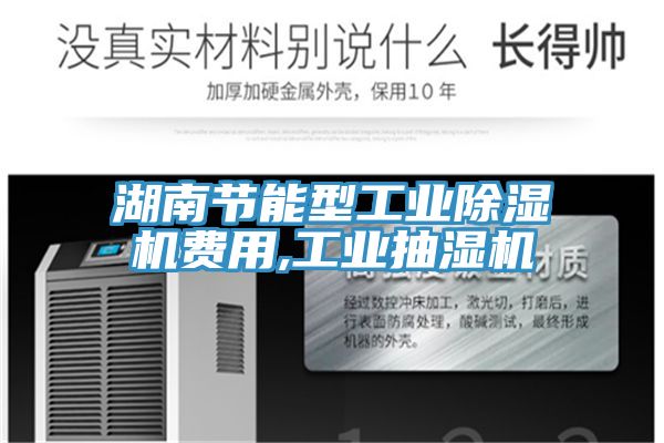 湖南节能型工业猫咪成人官网费用,工业抽湿机