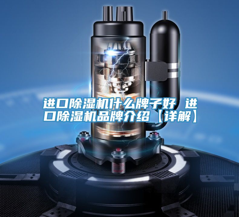 进口猫咪成人官网什么牌子好 进口猫咪成人官网品牌介绍【详解】