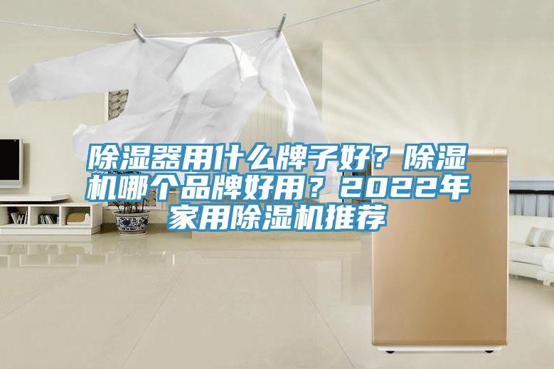 除湿器用什么牌子好？猫咪成人官网哪个品牌好用？2022年家用猫咪成人官网推荐