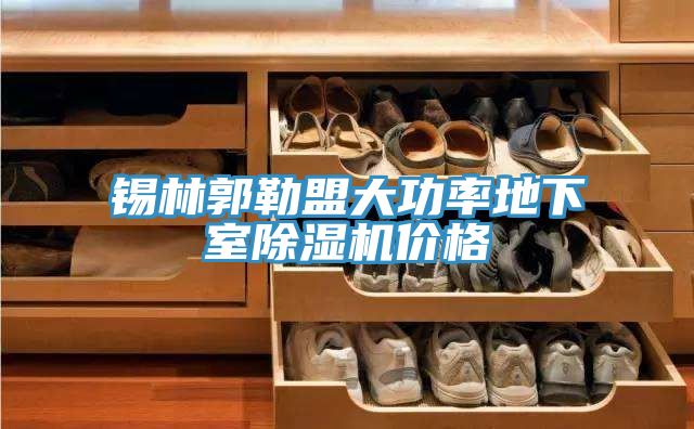 锡林郭勒盟大功率地下室猫咪成人官网价格