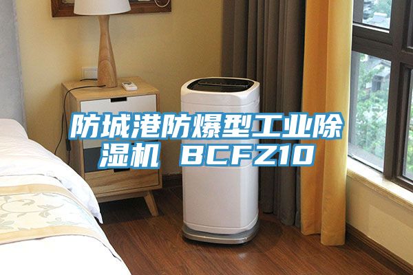 防城港防爆型工业猫咪成人官网 BCFZ10