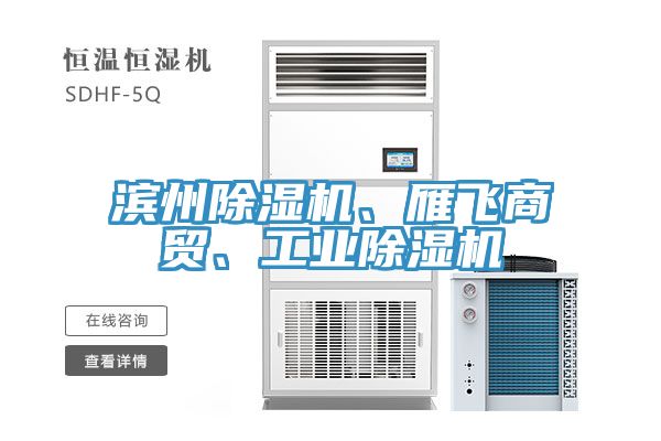 滨州猫咪成人官网、雁飞商贸、工业猫咪成人官网