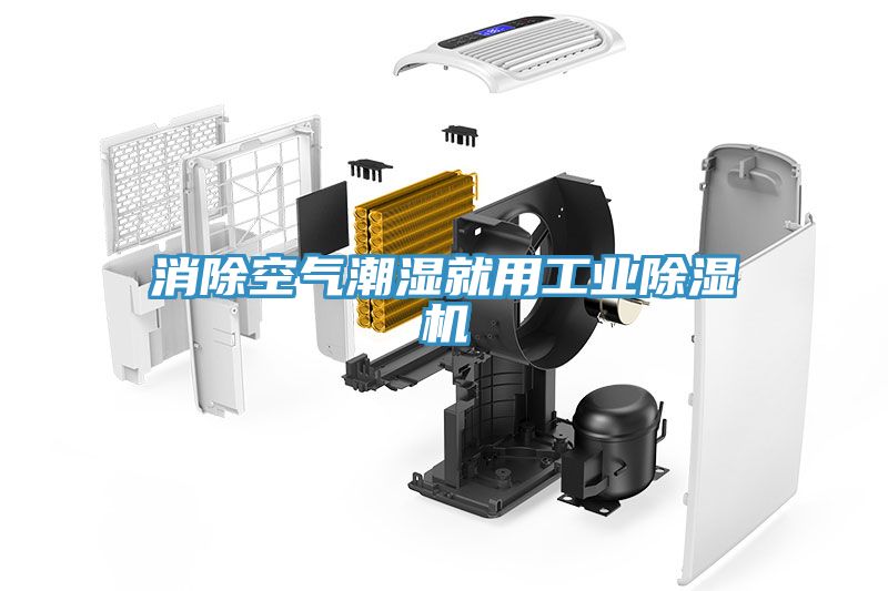 消除空气潮湿就用工业猫咪成人官网