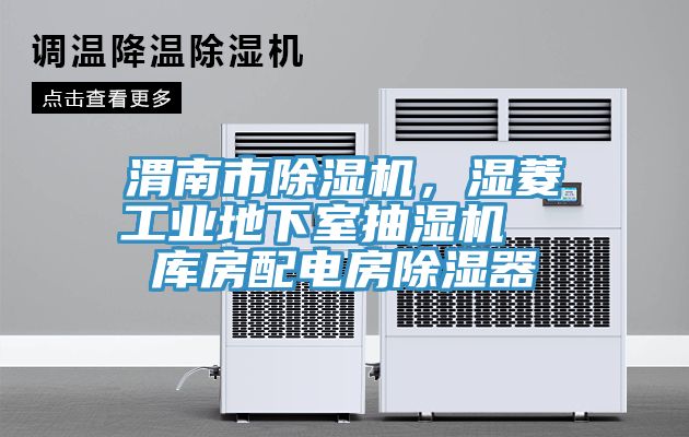渭南市猫咪成人官网，湿菱工业地下室抽湿机  库房配电房除湿器