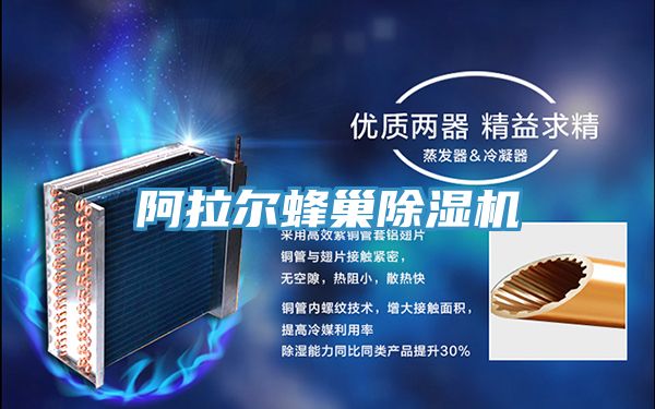 阿拉尔蜂巢猫咪成人官网