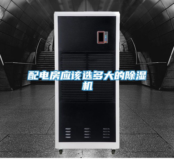 配电房应该选多大的猫咪成人官网