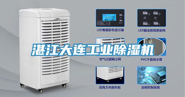 湛江大连工业猫咪成人官网