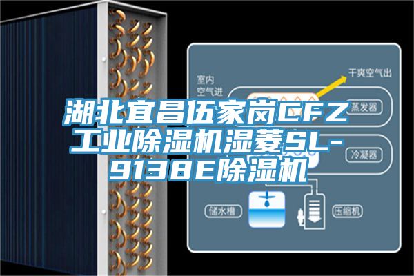 湖北宜昌伍家岗CFZ工业猫咪成人官网湿菱SL-9138E猫咪成人官网