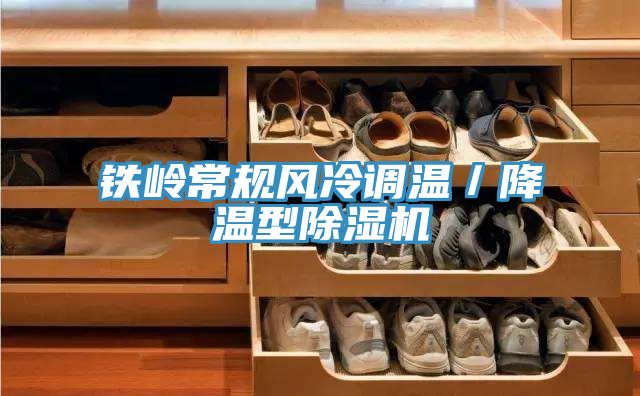 铁岭常规风冷调温／降温型猫咪成人官网