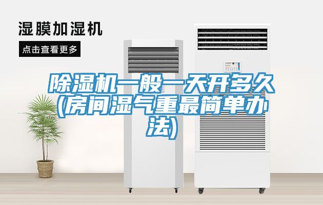 猫咪成人官网一般一天开多久(房间湿气重最简单办法)
