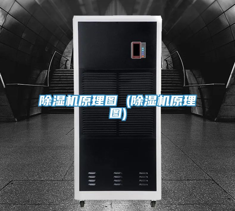 猫咪成人官网原理图 (猫咪成人官网原理图)