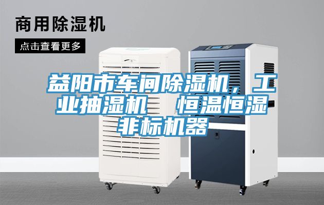 益阳市车间猫咪成人官网，工业抽湿机  恒温恒湿非标机器