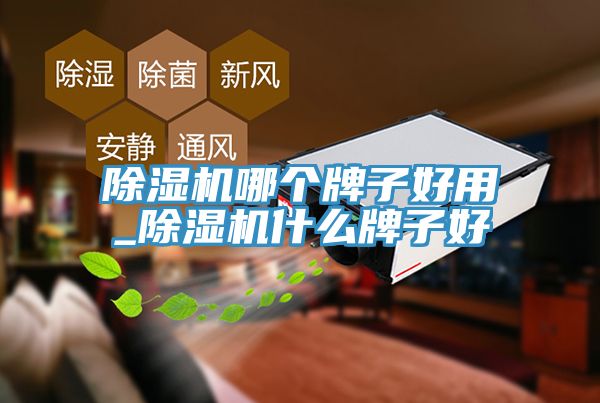 猫咪成人官网哪个牌子好用_猫咪成人官网什么牌子好