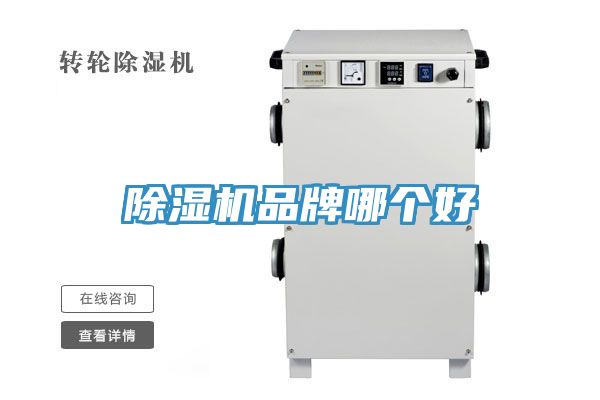 猫咪成人官网品牌哪个好