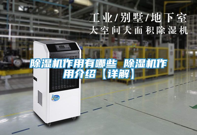猫咪成人官网作用有哪些 猫咪成人官网作用介绍【详解】