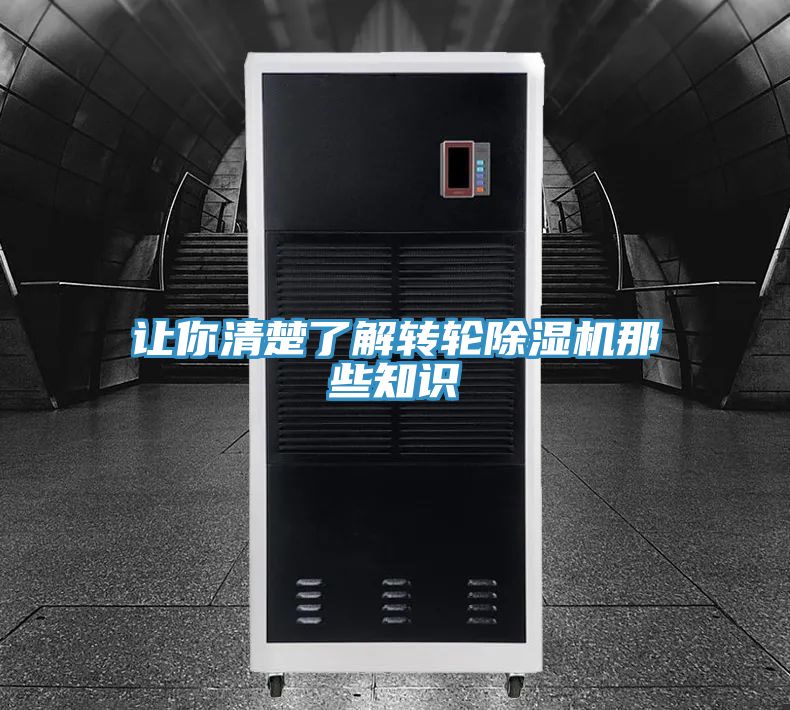 让你清楚了解转轮猫咪成人官网那些知识