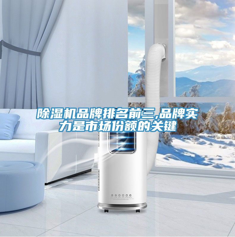 猫咪成人官网品牌排名前三,品牌实力是市场份额的关键