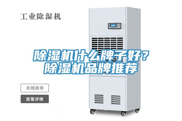 猫咪成人官网什么牌子好？猫咪成人官网品牌推荐