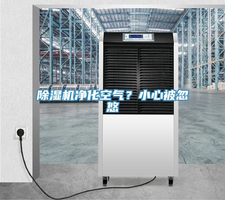 猫咪成人官网净化空气？小心被忽悠
