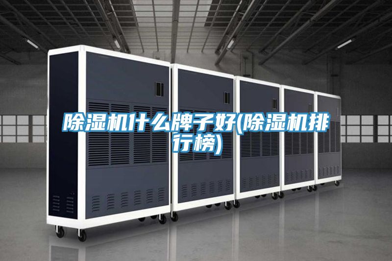猫咪成人官网什么牌子好(猫咪成人官网排行榜)