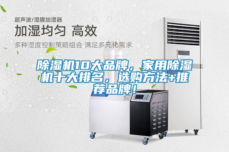 猫咪成人官网10大品牌，家用猫咪成人官网十大排名，选购方法+推荐品牌！