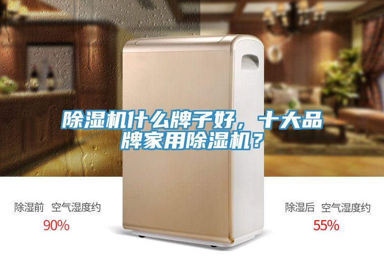 猫咪成人官网什么牌子好，十大品牌家用猫咪成人官网？