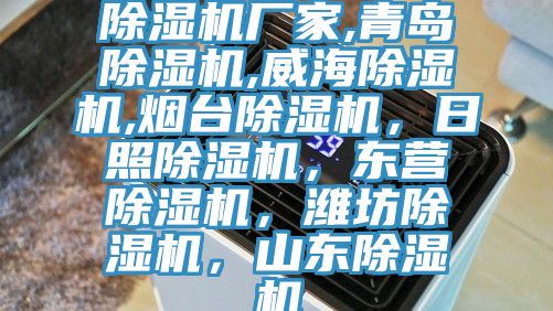 猫咪成人官网厂家,青岛猫咪成人官网,威海猫咪成人官网,烟台猫咪成人官网，日照猫咪成人官网，东营猫咪成人官网，潍坊猫咪成人官网，山东猫咪成人官网