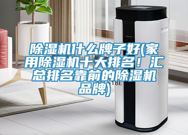 猫咪成人官网什么牌子好(家用猫咪成人官网十大排名！汇总排名靠前的猫咪成人官网品牌)
